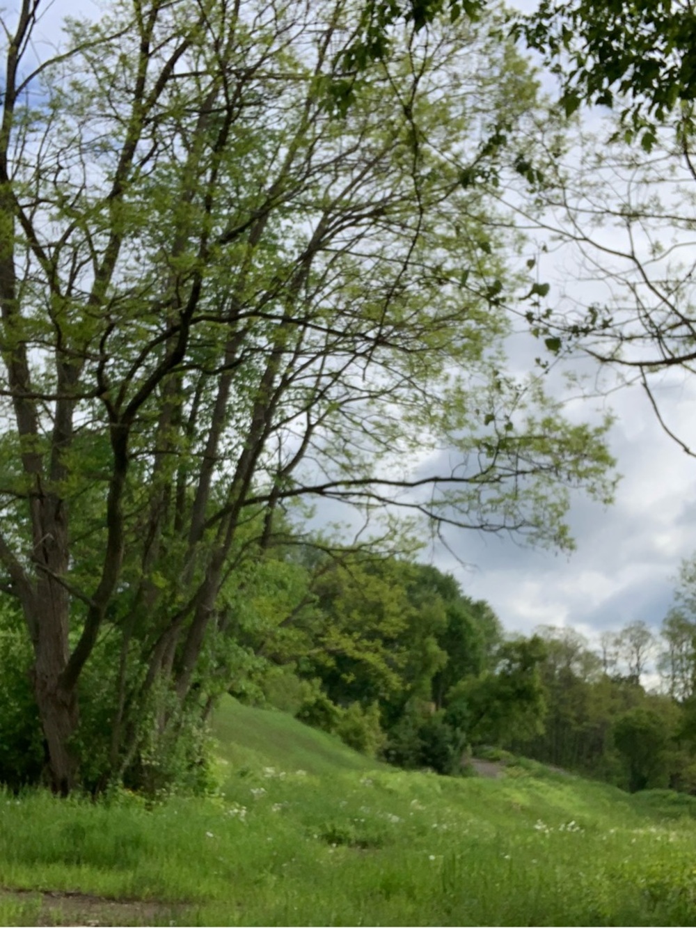 Meet your Posher, Nut